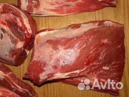 Продам мясо купить на Зозу.ру - фотография № 3