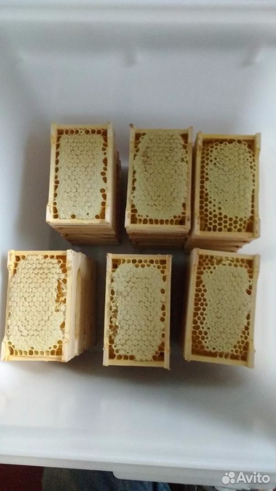 Мёд натуральный мед купить на Зозу.ру - фотография № 4