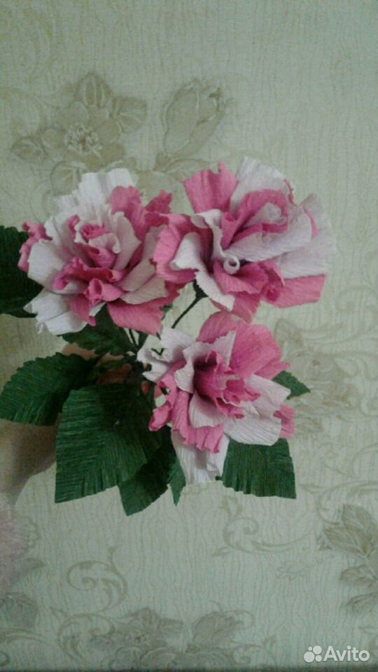 Двухцветная роза купить на Зозу.ру - фотография № 1