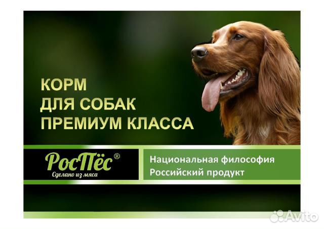 Корм для кошек и собак купить на Зозу.ру - фотография № 1