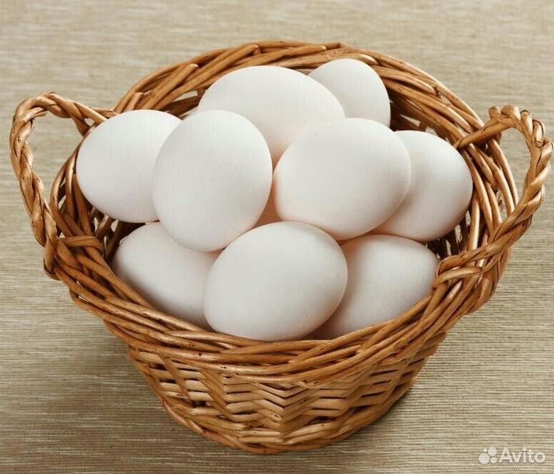 Продам домашние яйца купить на Зозу.ру - фотография № 1