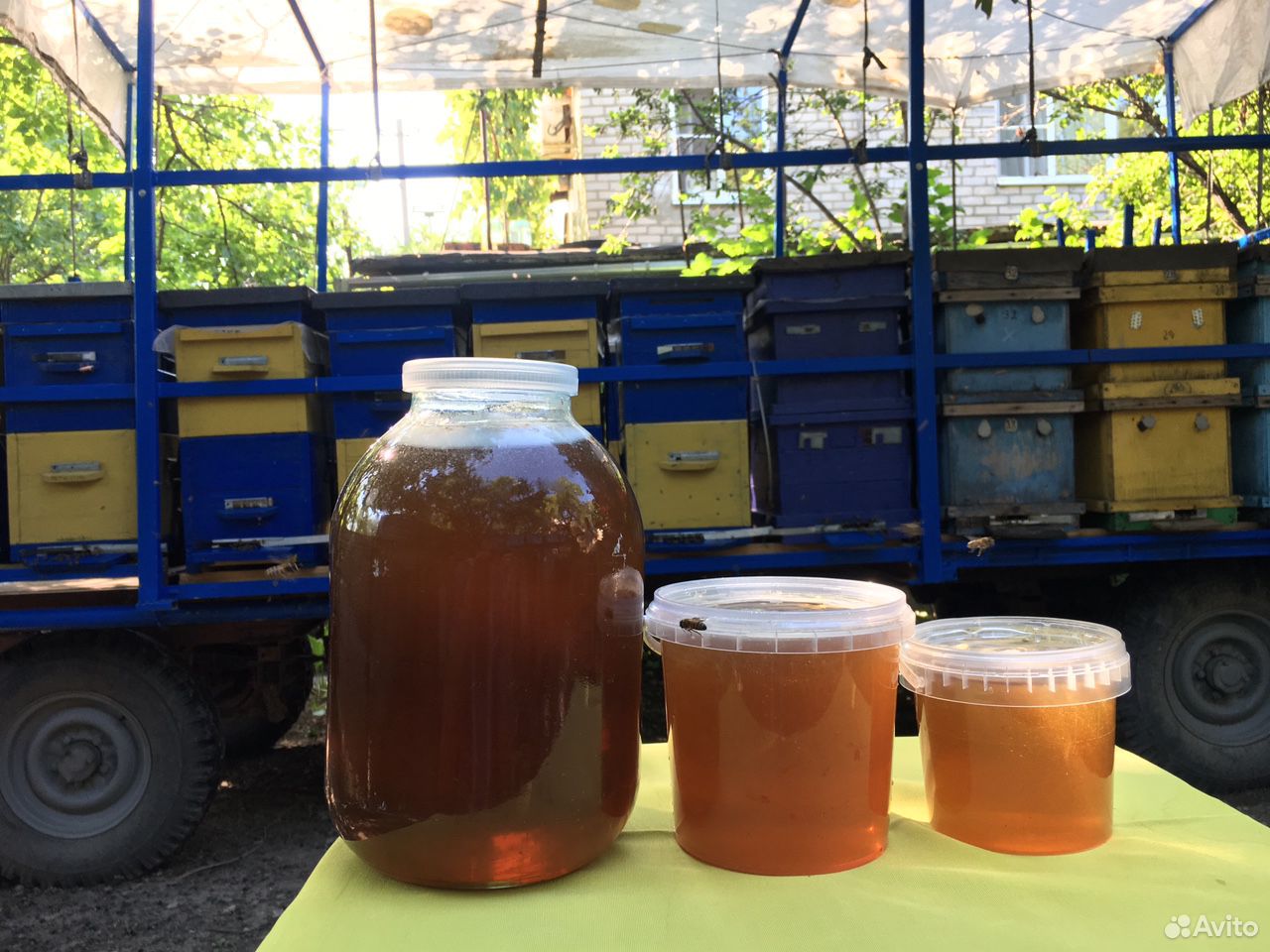 Мёд, забрус, соты купить на Зозу.ру - фотография № 2