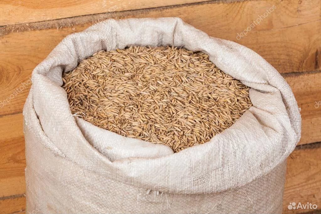 Пшеница навалом или в мешках купить на Зозу.ру - фотография № 3