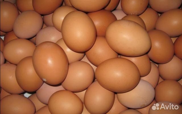 Яйца куриные. Живые витамины:) купить на Зозу.ру - фотография № 3