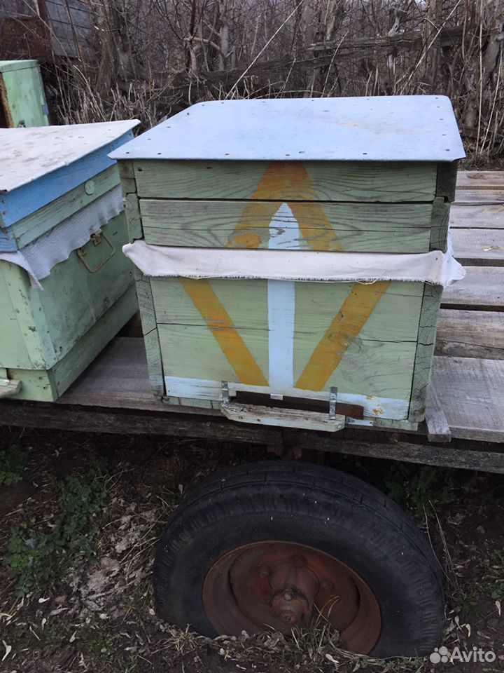 Продаю семьи пчёл с ульями и прочей утварью купить на Зозу.ру - фотография № 2
