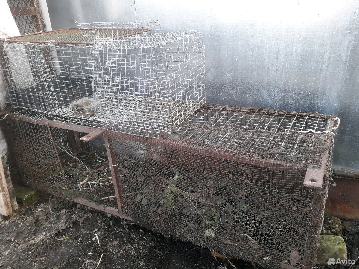 Клетки для кур, кроликов купить на Зозу.ру - фотография № 4