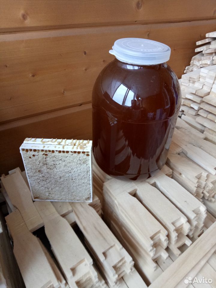 Пчелосемьи и пчелопакеты (карпатка и карника) купить на Зозу.ру - фотография № 3