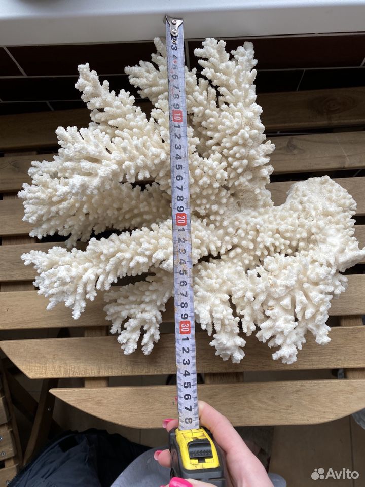 Шикарный натуральный коралл купить на Зозу.ру - фотография № 7