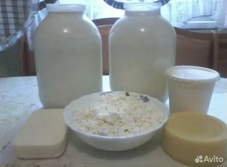 Домашнее козье молоко купить на Зозу.ру - фотография № 1
