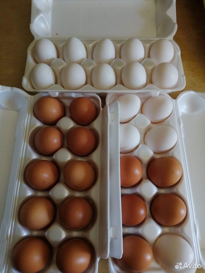 Яйцо купить на Зозу.ру - фотография № 4
