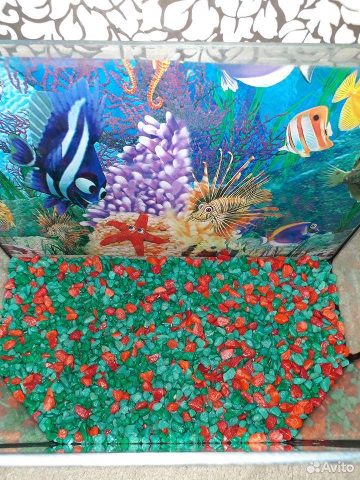 Продам аквариум 30л купить на Зозу.ру - фотография № 6