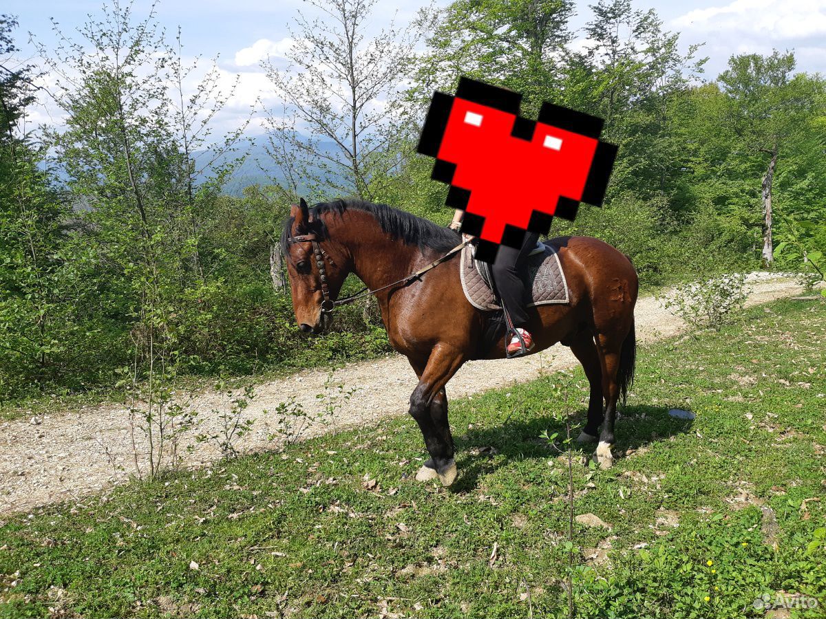 Богатырский конь купить на Зозу.ру - фотография № 1