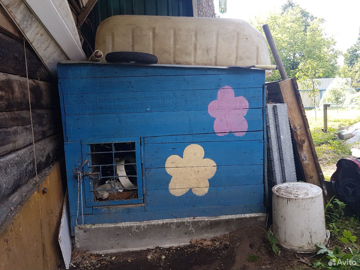 Продам будку для крупной собаки купить на Зозу.ру - фотография № 1