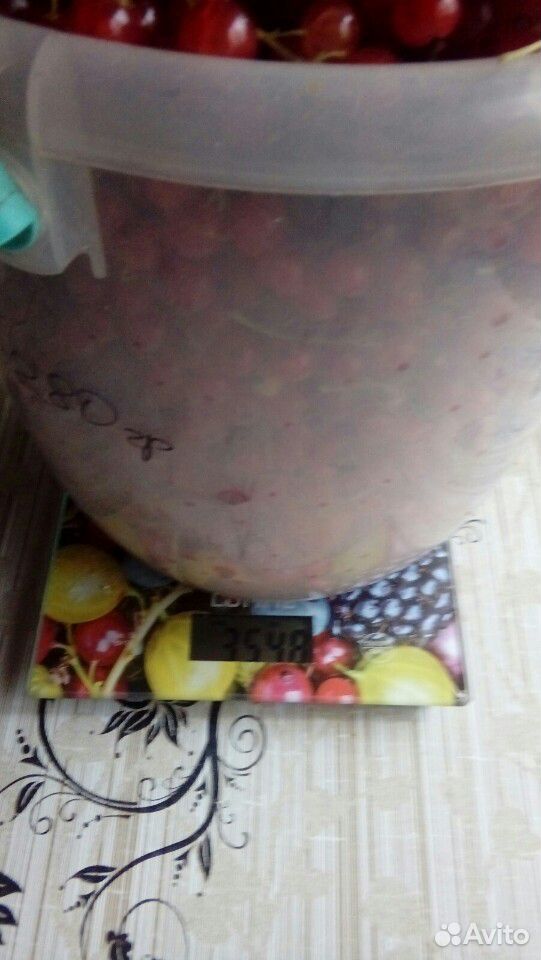 Ягоды красной смородины купить на Зозу.ру - фотография № 2