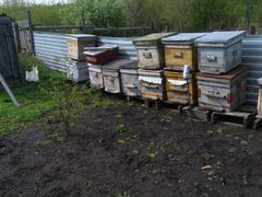Продам улья для пчел с рамками