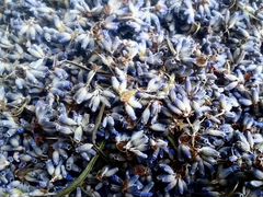 Сушеные цветки Лаванды, для чая, саше