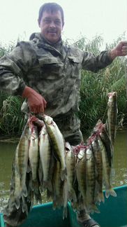 Рыбалка охота отдых в Астрахани.с Житное