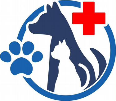 Эвтаназия домашних животных(ветеринарный врач)
