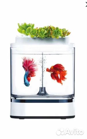 Акваферма Xiaomi Geometry Mini Lazy Fish Tank Pro