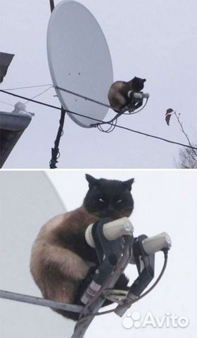 Настройка Установка Цифрового и Спутникого тв