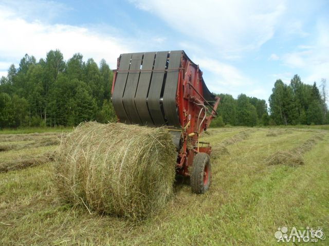 важно продажа сена в старобачаты белье