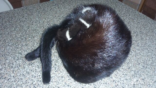 Шапка норковая