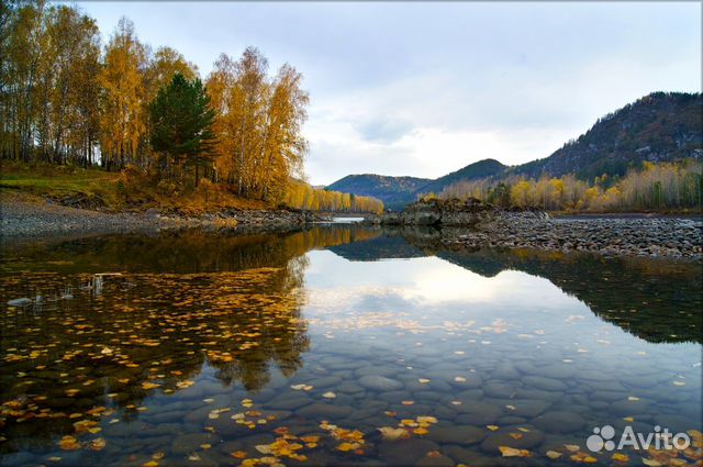 Участок 10 сот. (СНТ, ДНП) Участок 10 сот. (СНТ, ДНП)