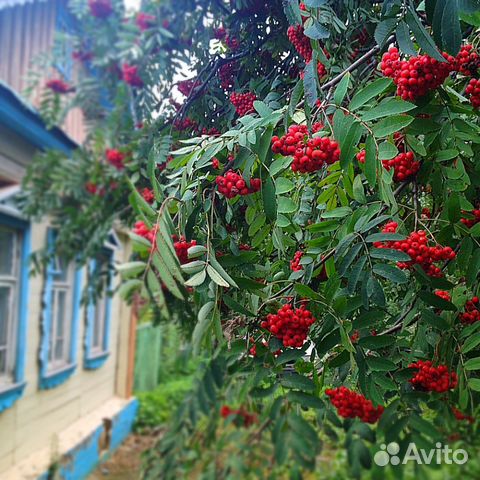 Дача 40 м² на участке 20 сот.