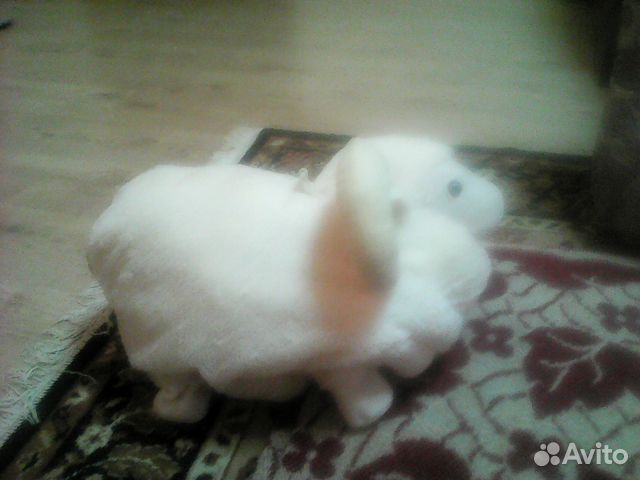 Оригинальная овечка Оригинальная овечка