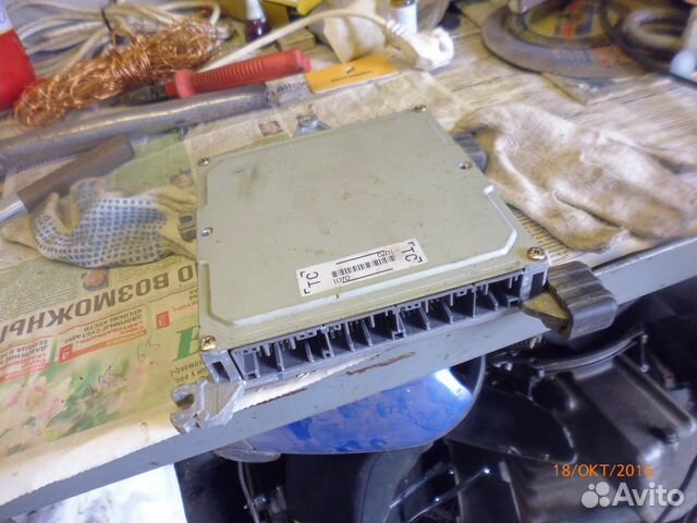 Хонда црв 1 мозги