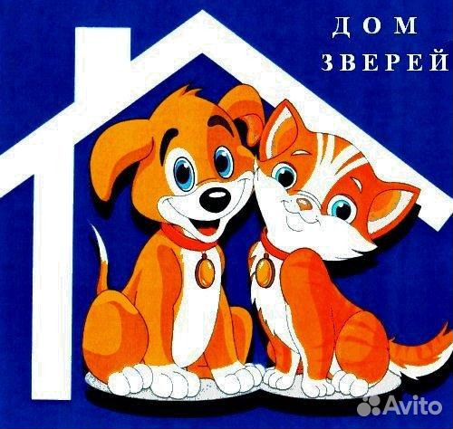 Вет.помощь 24/7, гостиница для животных, стрижка