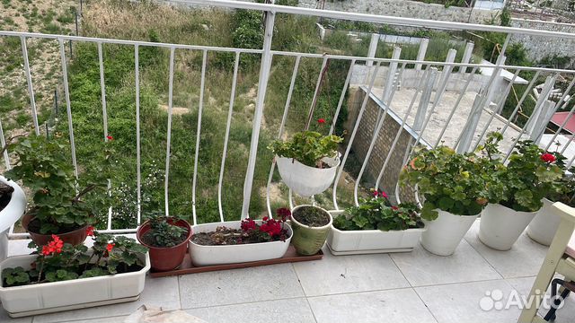 

Квартира-студия, 35 м², 3 кровати