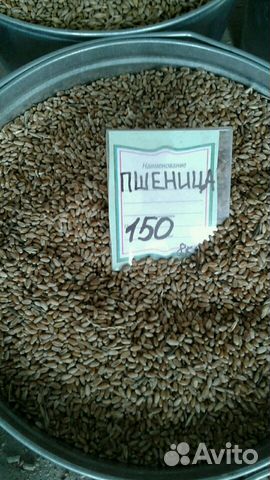 Комбикорм, зерно купить на Зозу.ру - фотография № 1