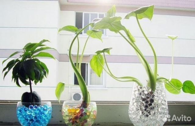 Гидрогель Аквагрунт для растений Aquasorb Гидрогель Аквагрунт для растений Aquasorb