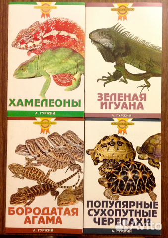 Ваш террариум Ваш террариум