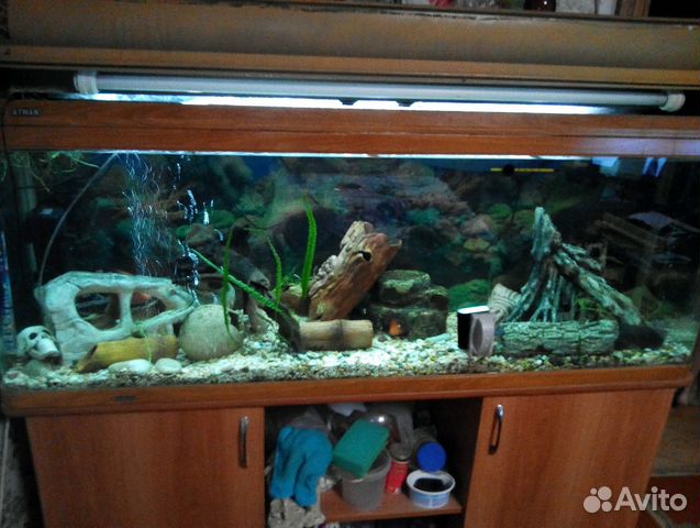 Продам аквариум купить на Зозу.ру - фотография № 1