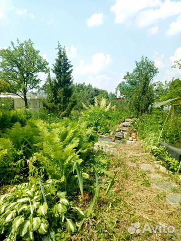 Участок 8 сот. (СНТ, ДНП)