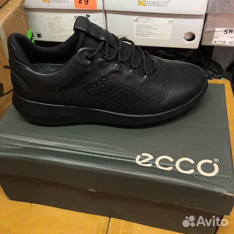 ecco scinapse