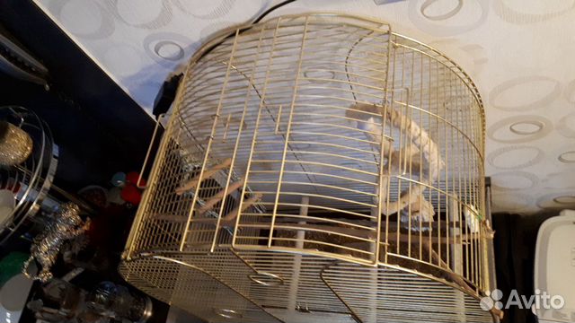 Клетка для попугая большая Клетка для попугая большая