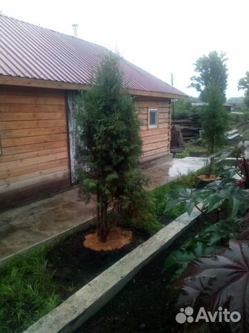 Дом 50 м² на участке 29 сот.