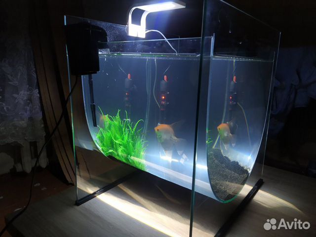 Аквариум, 58л Аквариум, 58л