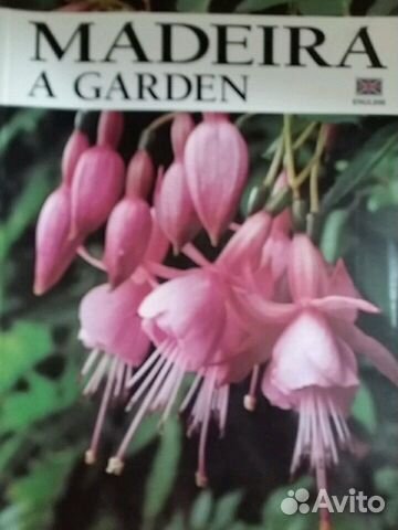 Путеводители музеи на англ нем