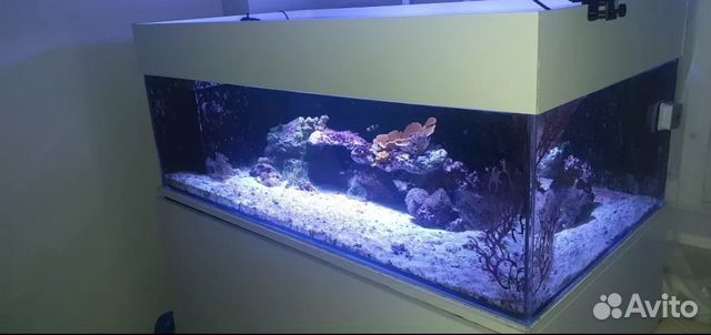 Морской аквариум на 500л купить на Зозу.ру - фотография № 1
