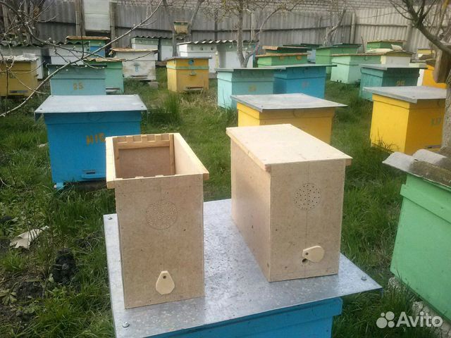 Пчелопакеты (3+1) купить на Зозу.ру - фотография № 1