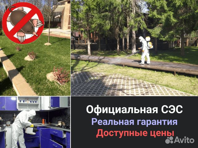 Уничтожение клещей, клопов, кротов, ос. Обработка Уничтожение клещей, клопов, кротов, ос. Обработка