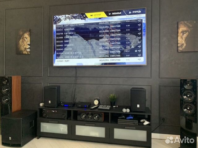 Караоке система ast / evolution и мощный звук