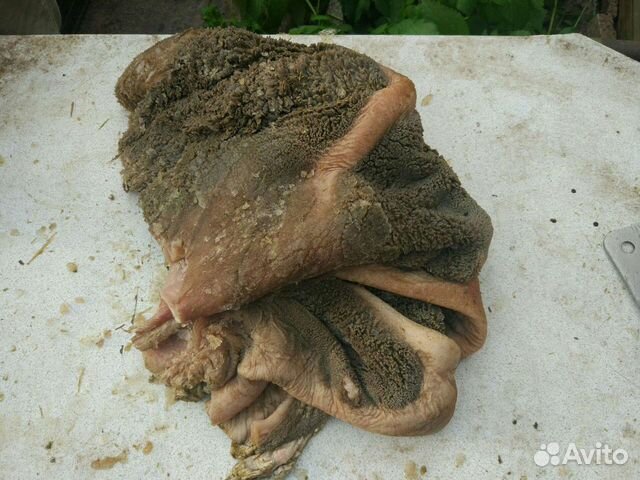 Рубец говяжий натуральный корм мясо для собак