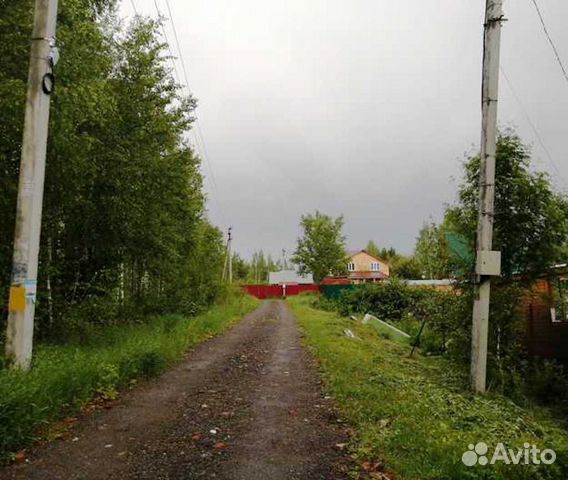 Воровское ногинский. Ногинский район поселок Воровского СНТ Чайка. Поселок Воровского СНТ Чайка участок. СНТ Чайка Богородский округ. Посёлок затишье Богородский городской округ, Московская область.