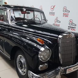 Пользователь