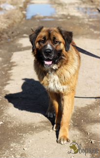 Леонтий мечтает обрести семью